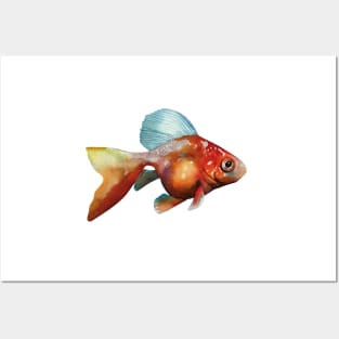 Goldfish Swim Together Posters and Art